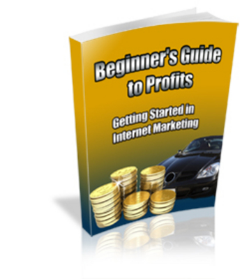 Product picture Beginners Profits Internet Marketing PLR eBook