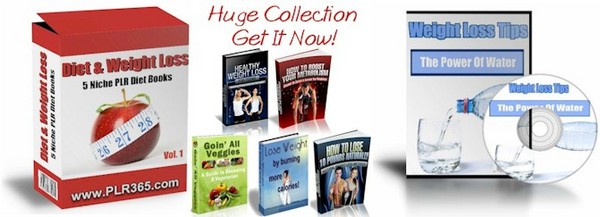 Product picture 5 No Restriction Diet & Weight Loss PLR eBooks + FREE Bonus!